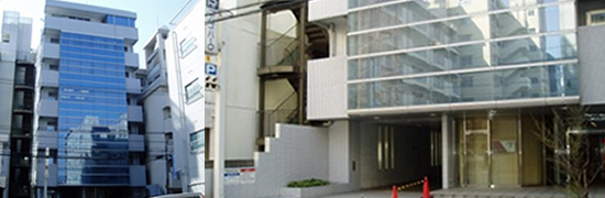 2011年2月中旬開設